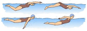 type-de-nage