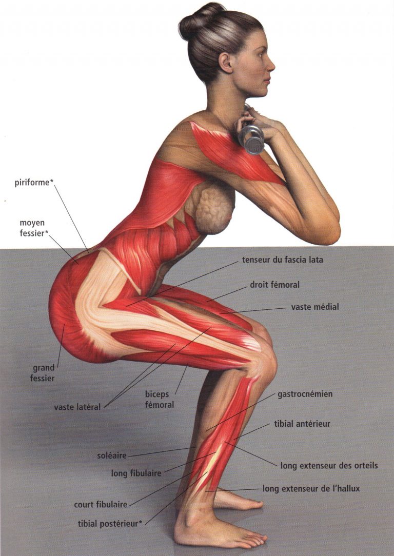 D couvrez Le Squat Atoosport d-couvrez-le-squat-atoosport
